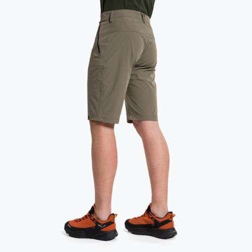 Шорти туристичні чоловічі Salewa Talveno DST коричневі 00-0000027064