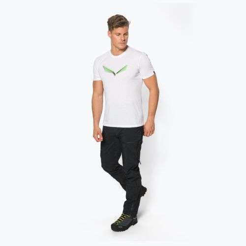 Футболка трекінгова чоловіча Salewa Lines Graphic Dry біла 00-0000028065