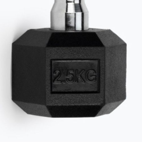 Гантель прогумована TREXO Hex HXD25 2.5 кг