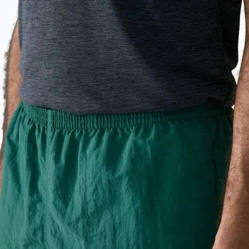 Шорти чоловічі Patagonia Baggies 5" 95 oval logo/gem green