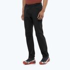 Штани трекінгові чоловічі Salomon Wayfarer Warm deep black