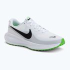 Кросівки для бігу чоловічі Nike Revolution 8 white/pure platinum/glacier blue/black