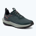 Кросівки туристичні чоловічі Salomon Elixir Activ GTX scarab/green gable
