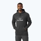 Кофта трекінгова чоловіча Helly Hansen Nord Graphic Pull Over сіра 62975_981