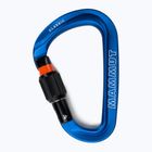 Карабін Mammut Smart HMS 2.0 Screwgate Carabiner сірий