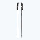 Лижні палиці Fizan Action Pro black