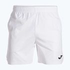 Шорти тенісні чоловічі Joma Challenge Bermuda white