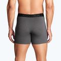 Чоловічі труси Under Armour Perf Cotton 6" 3 шт карбон чорний/галактика чорний 12