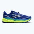 Кросівки для бігу чоловічі Brooks Cascadia 19 surf the web/nightlife/white 2