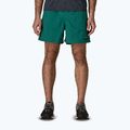 Шорти чоловічі Patagonia Baggies 5" 95 oval logo/gem green