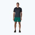 Шорти чоловічі Patagonia Baggies 5" 95 oval logo/gem green 2