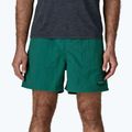 Шорти чоловічі Patagonia Baggies 5" 95 oval logo/gem green 4