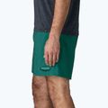 Шорти чоловічі Patagonia Baggies 5" 95 oval logo/gem green 5