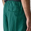 Шорти чоловічі Patagonia Baggies 5" 95 oval logo/gem green 7