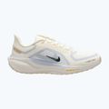 Кросівки для бігу чоловічі Nike Pegasus 41 GTX sail/football grey/sundial/ashen slate 8