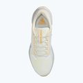 Кросівки для бігу чоловічі Nike Pegasus 41 GTX sail/football grey/sundial/ashen slate 10