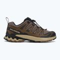 Кросівки для бігу чоловічі Salomon XA Pro 3D V9 falcon/desert tan/black 2