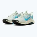 Кросівки для бігу чоловічі Nike Wildhorse 10 sea glass/black spruce/baltic blue 10