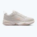 Кросівки для тренувань чоловічі Nike Air Monarch IV light bone/spruce aura/sanddrift 8