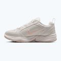 Кросівки для тренувань чоловічі Nike Air Monarch IV light bone/spruce aura/sanddrift 9