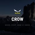 Черевики для альпінізму чоловічі Salewa Crow GTX коричневі 00-0000061328 12