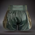 Шорти для тренувань Venum Stealth Muay Thai Khaki/Dark Green 2
