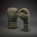 Рукавиці боксерські Venum Stealth Boxing khaki/dark green 2