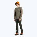 Футболка трекінгова чоловіча Salewa Lavaredo Hemp Print коричнева 00-0000028062 2