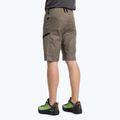 Шорти туристичні чоловічі Salewa Lavaredo Hemp коричневі 00-0000028033 3