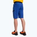 Шорти туристичні чоловічі Salewa Agner Light блакитні 00-0000027380 3
