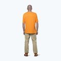 Чоловіча трекінгова сорочка Salewa Agner Hemp/Dst turmeric 3