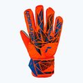 Воротарські рукавиці Reusch Attrakt Starter Grip hyper orng/elec сині 2
