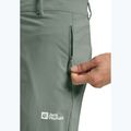 Чоловічі трекінгові штани Jack Wolfskin Hikeout slate green 5