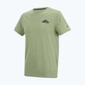 Футболка трекінгова чоловіча REGATTA Breezed light sage 7