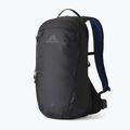 Рюкзак туристичний Gregory Kiro 20 л RC alpine black