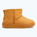 Черевики зимові жіночі BIG STAR KK274289 802 camel 2