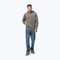 Кофта чоловіча Pitbull Sampson Hooded Sweatshirt taupe 2