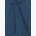 Штани чоловічі Pitbull Sampson Track Pants petrol blue 6