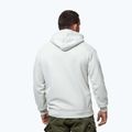 Кофта чоловіча Pitbull Orlando Hooded white stone 3