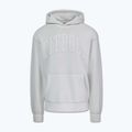 Кофта чоловіча Pitbull Orlando Hooded white stone 4