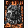 Кофта чоловіча Pitbull Blacky Hooded black 7