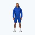 Кофта чоловіча Pitbull Dogwood Hooded Sweatshirt imperial blue 2