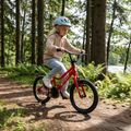 Дитячий велосипед ATTABO EASE 16" червоний 3