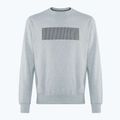 Кофта чоловіча PROSTO Crewneck Cameleo gray