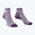Шкарпетки жіночі Bridgedale Hike Lightweight Performance Ankle heather/damson