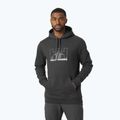 Кофта трекінгова чоловіча Helly Hansen Nord Graphic Pull Over сіра 62975_981