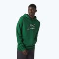Чоловічий трекінговий світшот Helly Hansen F2F Organic Cotton Hoodie малахітовий