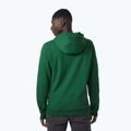 Чоловічий трекінговий світшот Helly Hansen F2F Organic Cotton Hoodie малахітовий 2