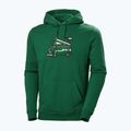 Чоловічий трекінговий світшот Helly Hansen F2F Organic Cotton Hoodie малахітовий 4