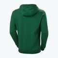 Чоловічий трекінговий світшот Helly Hansen F2F Organic Cotton Hoodie малахітовий 5